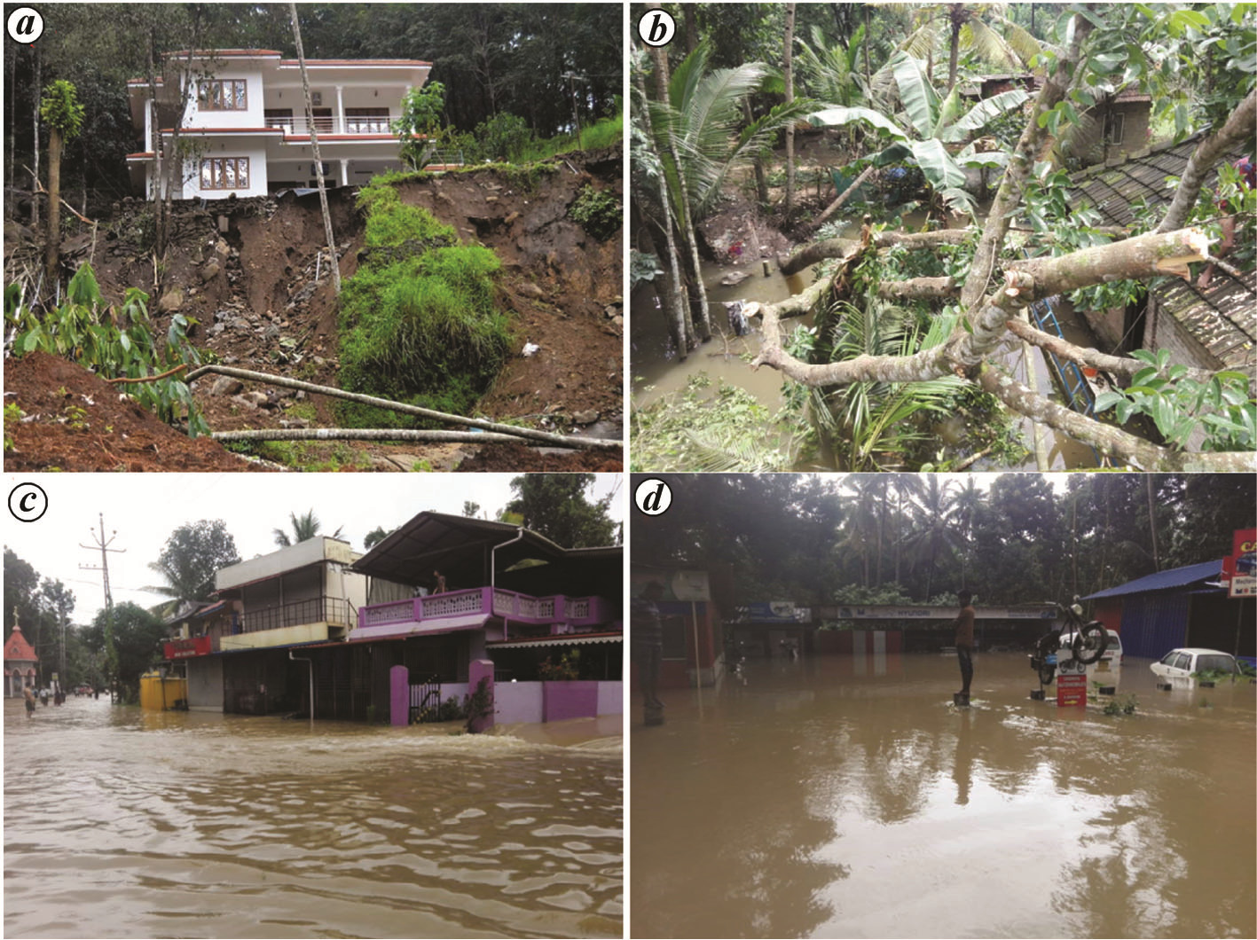 Nature Unleashed Image