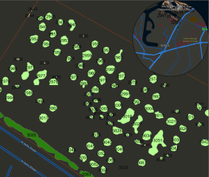 Precision tree inventory and geotagged ecological asset digitization dashboard